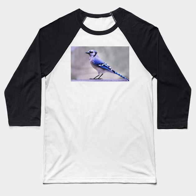 Blue Jay Day Baseball T-Shirt by LaurieMinor